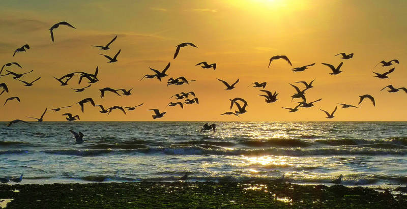 Ferienhaus Noord Holland LekkerNaarZee